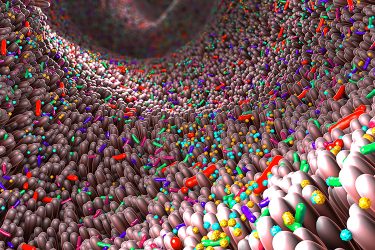 artist drawing of different coloured microbes in the human GI tract