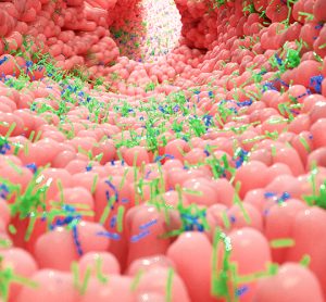 Blue and green microbes on a pink surface (GI tract)