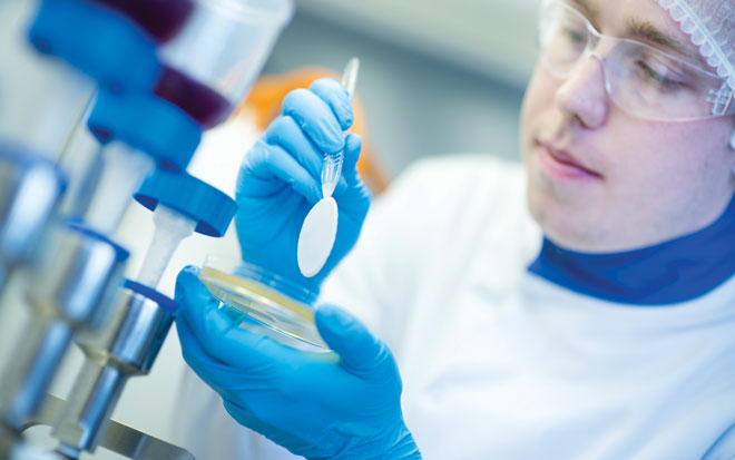 Method suitability in microbiology: understanding complex cGMP guidelines