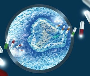 Microbiology Fungal Contamination