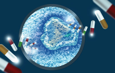 Microbiology Fungal Contamination