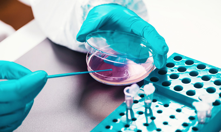Microbiology testing