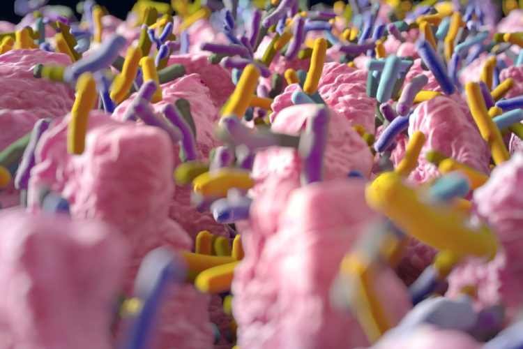 Small pink finger-like projections representing the intestinal villi surrounded by multicoloured capsule-shaped objects representing bacteria - idea of the intestinal microbiome