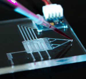 Microanalysis