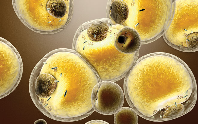 Microfluidics in cell-to-cell signalling measurements