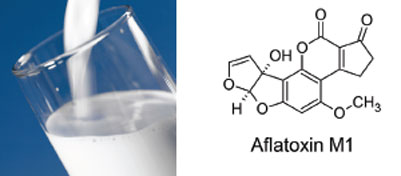 Easy and quick HPLC analysis of Aflatoxin in milk