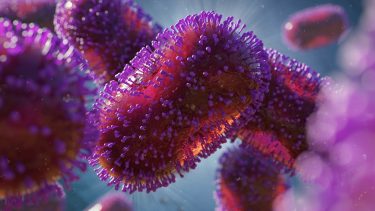 3D rendering of Monkeypox virus is purple and red