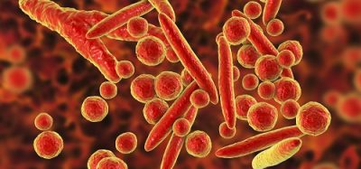 Mycolplasma and virus testing