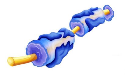 Last patient visit in Phase IIa study with RHB-104 for multiple sclerosis