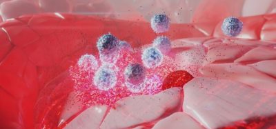 Can GLP-1 obesity therapy restore NK cell function?