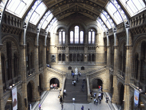 Natural History Museum