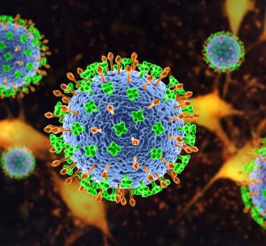 3D illustration of Nipah virus particles - Nipah virus is a newly emerging bat-borne virus that causes acute respiratory illness and severe encephalitis