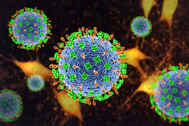 3D illustration of Nipah virus particles - Nipah virus is a newly emerging bat-borne virus that causes acute respiratory illness and severe encephalitis