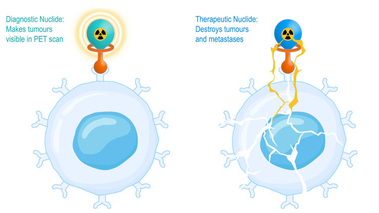 How targeted radiotheranostics work