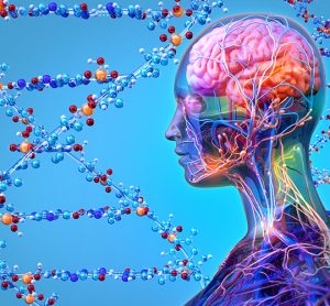 Concept of precision medicine - human head with brain and blood vessels revealed in front of DNA strands