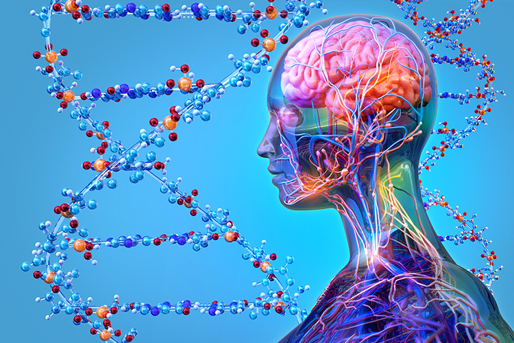 Concept of precision medicine - human head with brain and blood vessels revealed in front of DNA strands