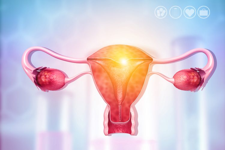 female reproductive system in pinky-red on a light blue gradient background