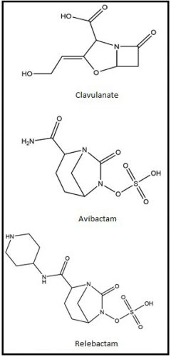 Clavulanate, avibactam and relebactam