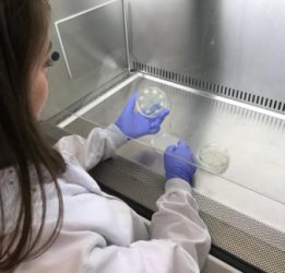 Researcher in lab with petri dish