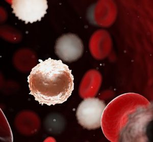 Positive results announced for acute myeloid leukaemia treatment trial