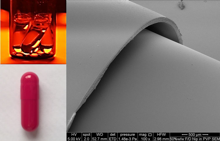 Figure 1: Top left clear gelatin capsules filled with TBA based feed solution of nifedipine, bottom left, Red opaque gelatin capsule to prevent light induced degradation of nifedipine. Photo on the right; Scanning electron microscope (SEM) of freeze-dried capsule bottom and non-freeze dried capsule top, no damage is observed in the structure of the freeze dried capsule bottom. 