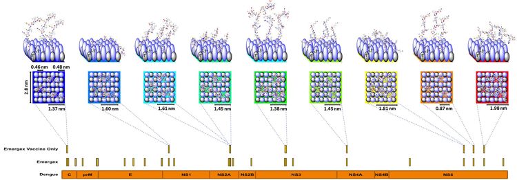 Anatomy of a ‘correlate of protection’ for T-cell vaccines