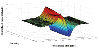 Raman spectroscopy: an enabling tool for accelerating pharmaceutical discovery to development - Figure 1