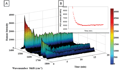 Raman spectroscopy: an enabling tool for accelerating pharmaceutical discovery to development - Figure 3