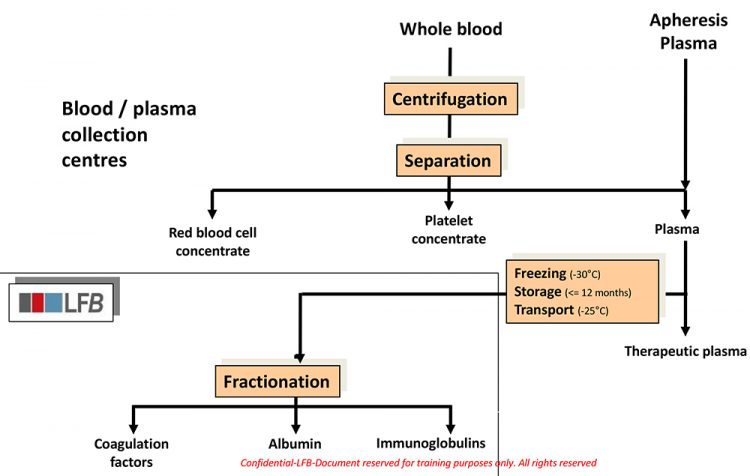 LFB blood plasma fractionation trees