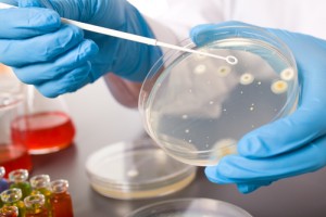 Roche acquires in vitro diagnostics company GeneWEAVE