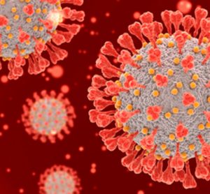 SARS-CoV-2 and mutations