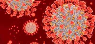 SARS-CoV-2 and mutations