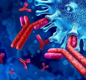 SARS-CoV-2 antibodies