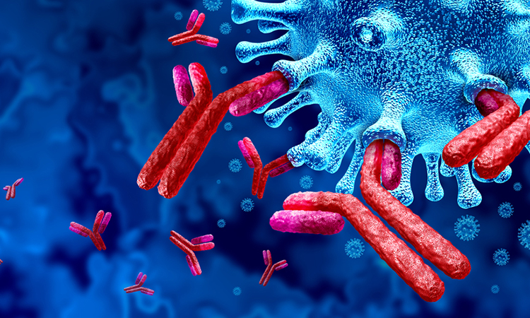 SARS-CoV-2 antibodies