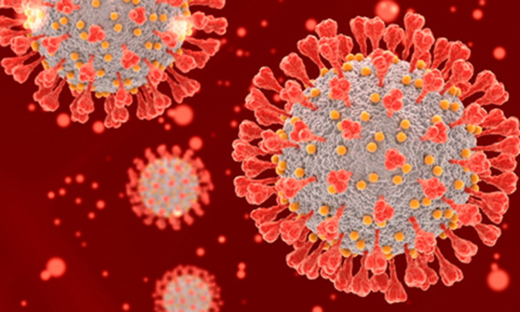 SARS-CoV-2 and mutations