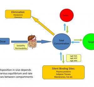 Figure 1 Distribution of drugs in vivo depends on various equilibrium and rate processes between compartments