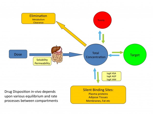 Figure 1 Distribution of drugs in vivo depends on various equilibrium and rate processes between compartments