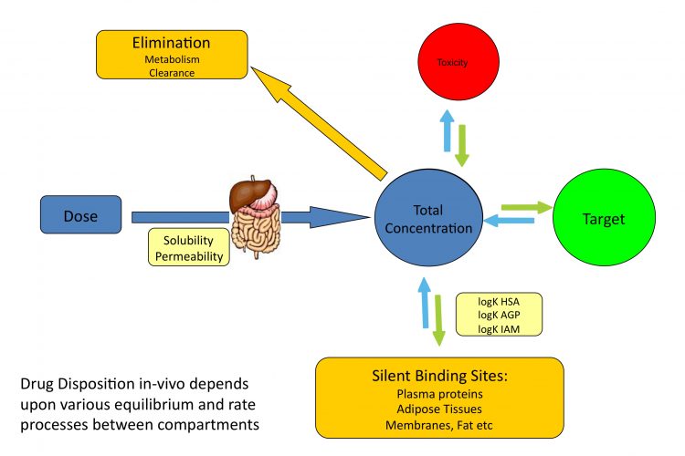 Figure 1 Distribution of drugs in vivo depends on various equilibrium and rate processes between compartments