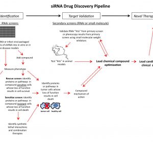 Figure 1 siRNA drug discovery pipeline