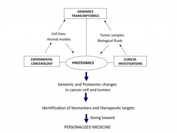 Figure 1Translational and integrative proteomics for the identification of new therapeutic targets in oncology