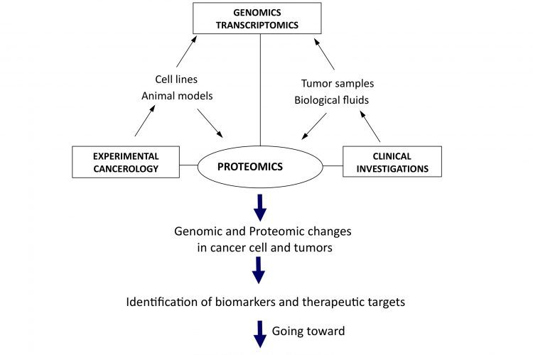 Figure 1Translational and integrative proteomics for the identification of new therapeutic targets in oncology