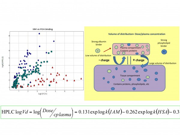 Figure 6 Relationship between IAM and HAS binding of known drug molecules and the influence of charge (blue: positively charged at pH 7.4; red: negatively charged at pH 7.4; green: neutral at pH 7.4) and schematic representation of volume of distribution and contributing factors with the model equation