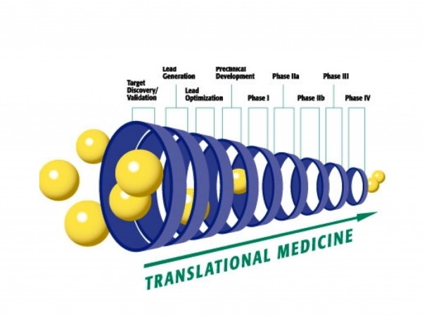 Figure 7: Translation medicine and biomarkers: affecting the different phases of drug development