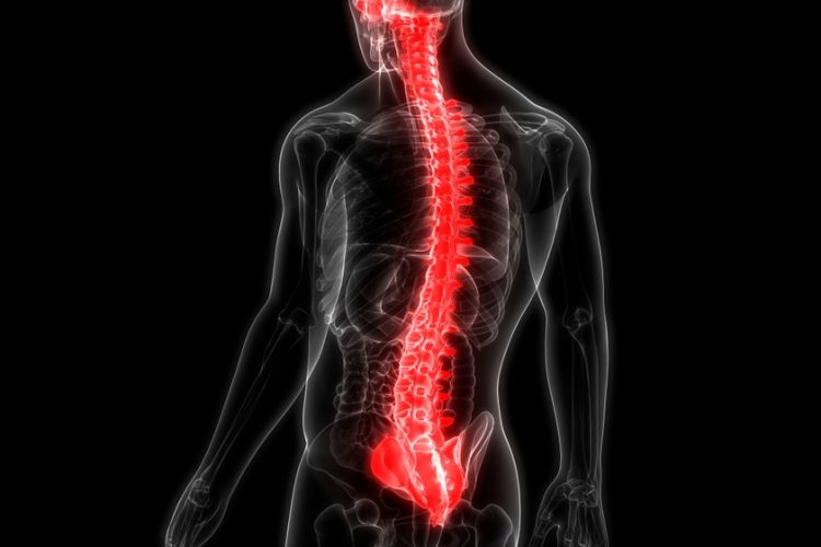 Spinal cord injury