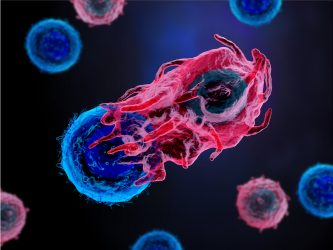 3d illustration of an immune T cell attacking a cancer cell - idea of T-cell therapy
