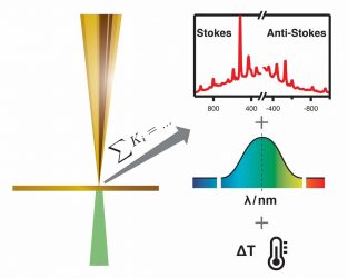 tip-enhanced Raman spectroscopy analysis