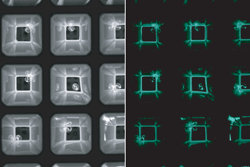 Tecan image - Performing in vivo HTS assays using the Infinite M1000