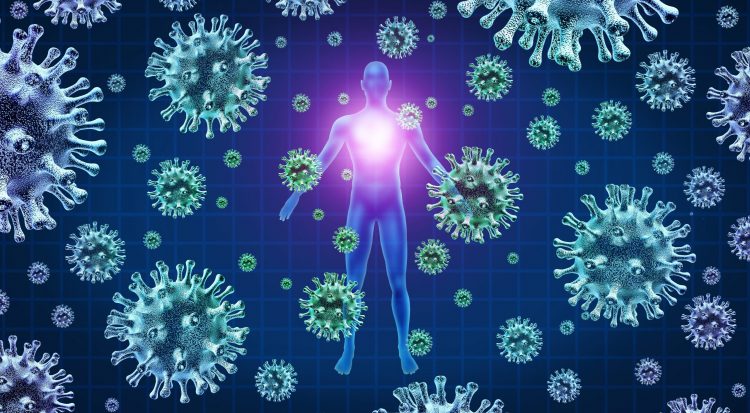 coronavirus particles