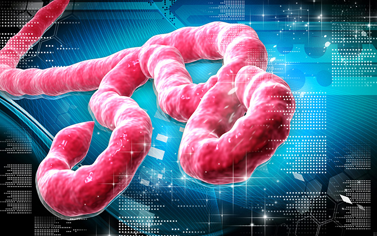 pink Ebola virus particle on a blue background
