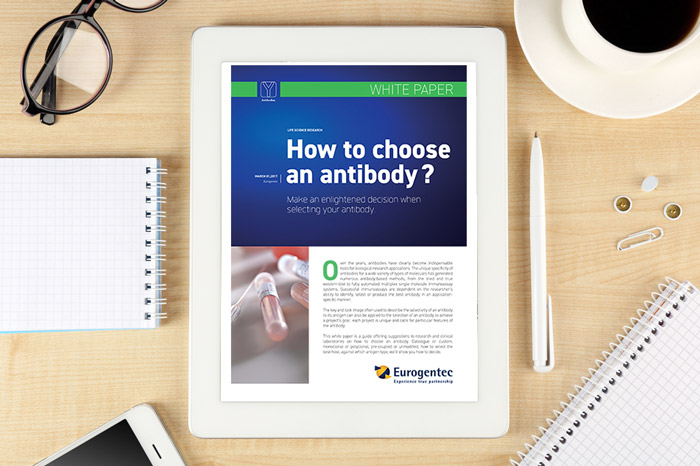 Eurogentec - Whitepaper: How to choose an antibody?